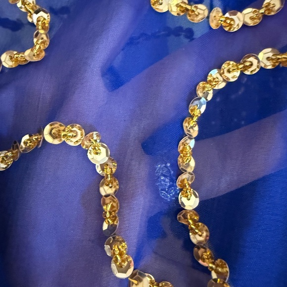 Blue & Gold Fringed hand beaded Retro Belly Dance or Bollywood Dance Costume - Picture 17 of 17